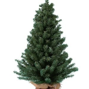 Kurt Adler Miniature Pine Tree - 12